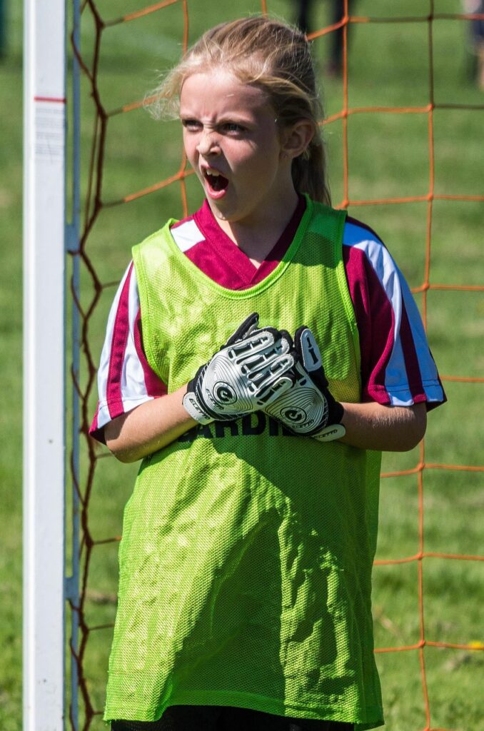 soccer, nature, summer, sport